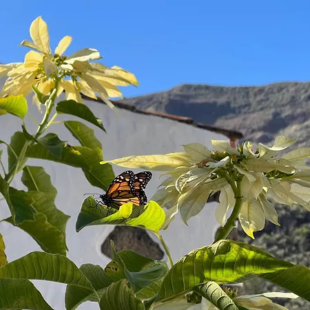Casa di campagna Exclusiv La Mareta *